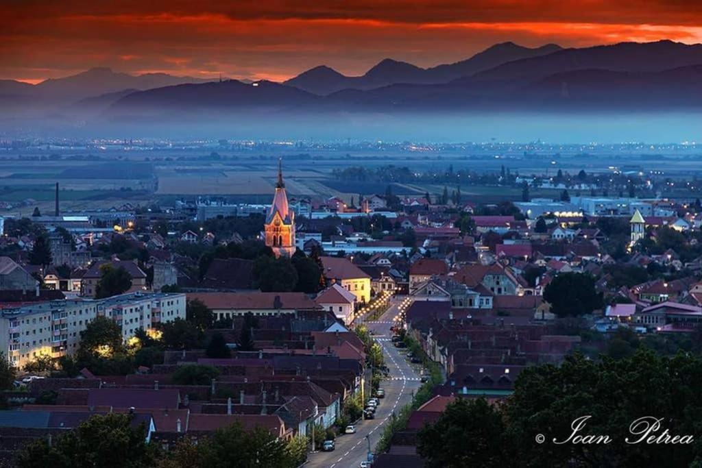 Green House Codlea, jud Brasov Buitenkant foto