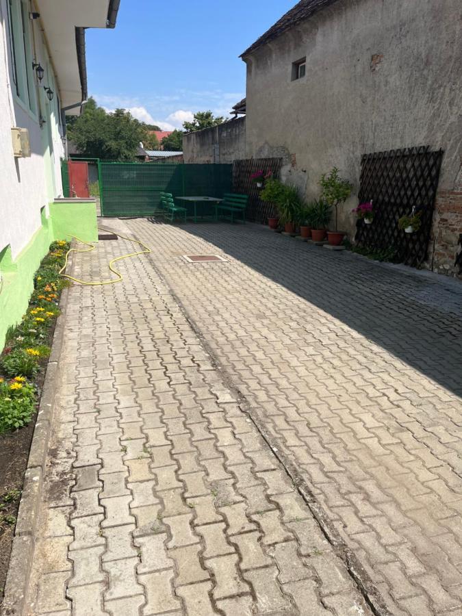 Green House Codlea, jud Brasov Buitenkant foto